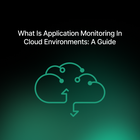 What Is Application Monitoring In Cloud Environments: A Guide